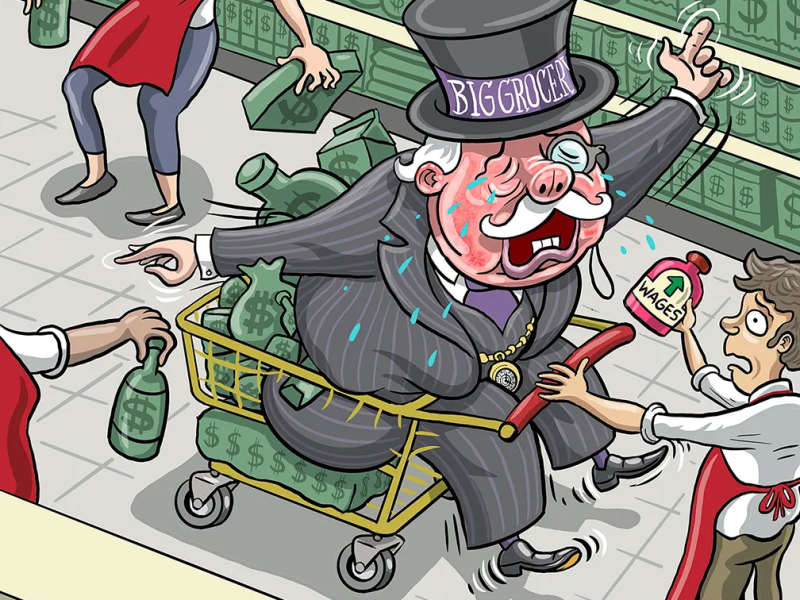 The Grocery Oligopoly: Are You In Good Hands?